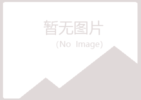 合山初夏服务有限公司